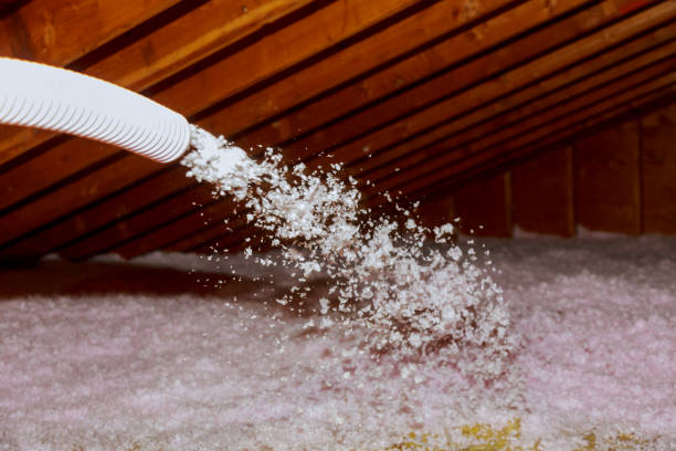 Best Insulation Installation Services in Elida, OH
