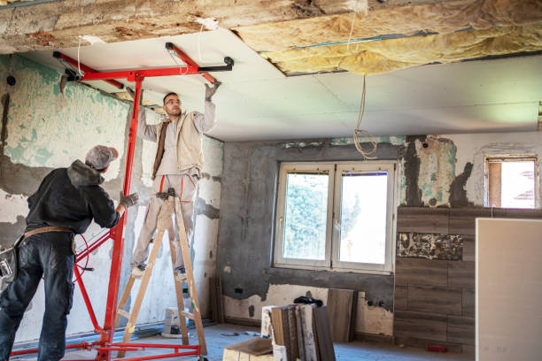 Best Insulation Installation Services in Elida, OH